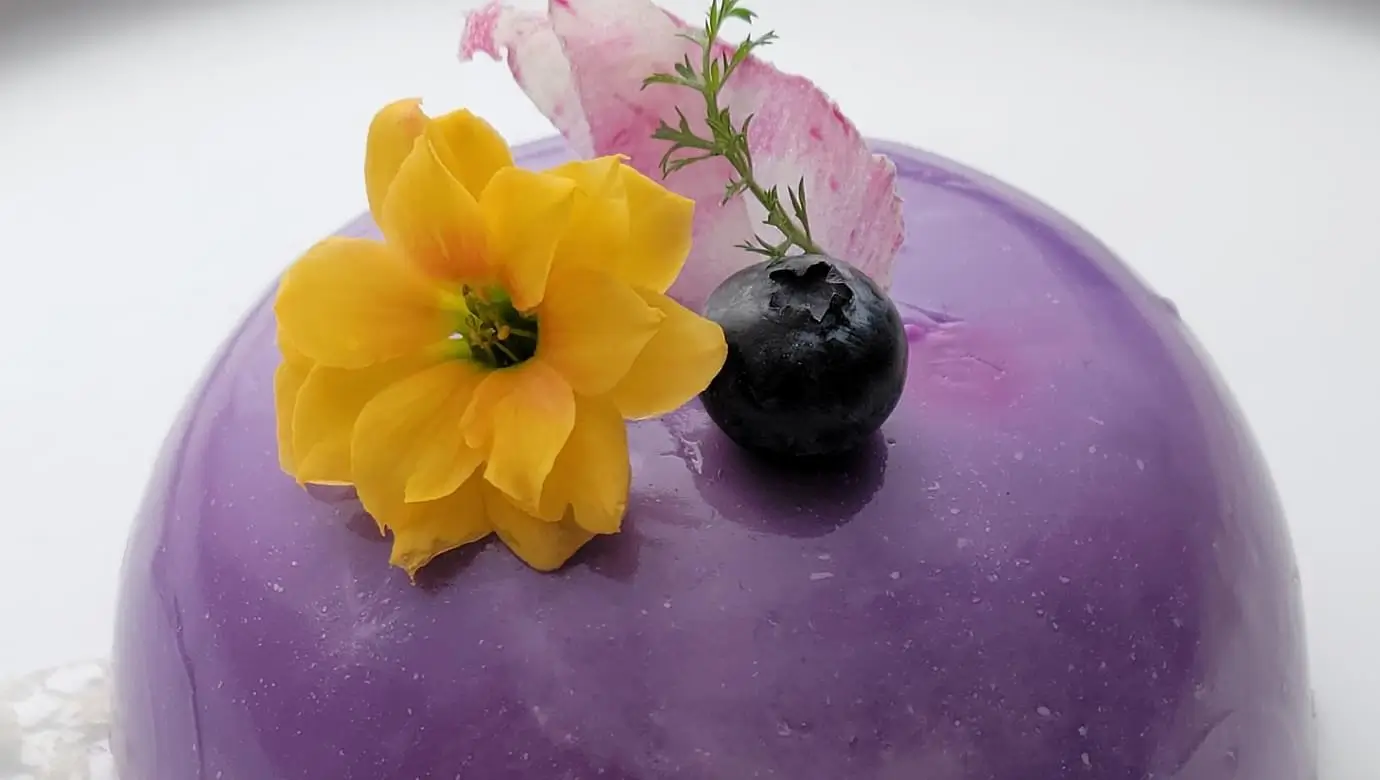A crop from the same photo: the yellow flower and berry up close, every petal sharp