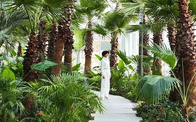 Closer: the woman in white standing on the path between the palms