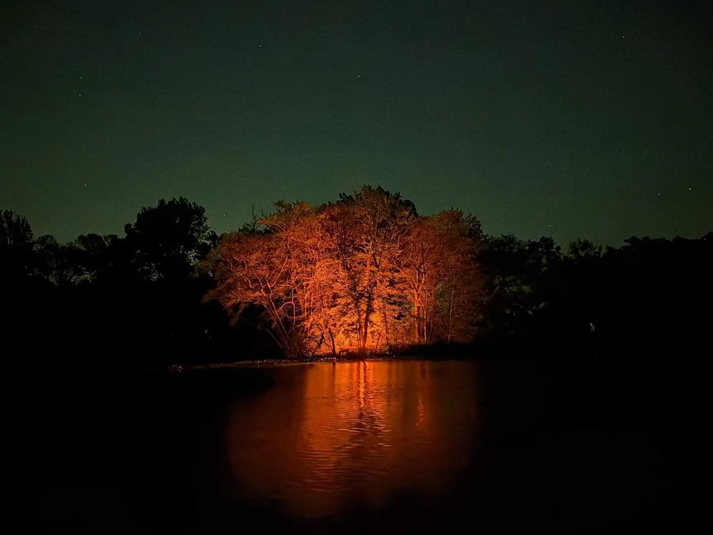 A tree lit orange by a campfire at night, reflected in a dark lake, shot with Night Sight