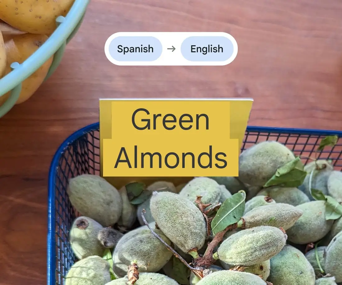 Live Translate turns a Spanish produce label into English: Green Almonds